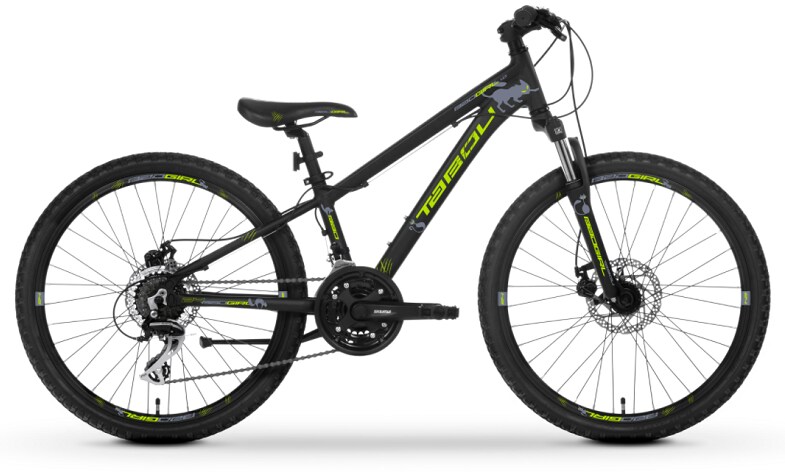 Mountain bike 24 tum deals